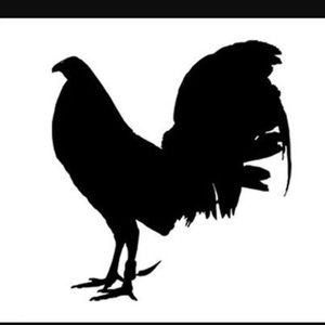 Meet your Posher, Omar